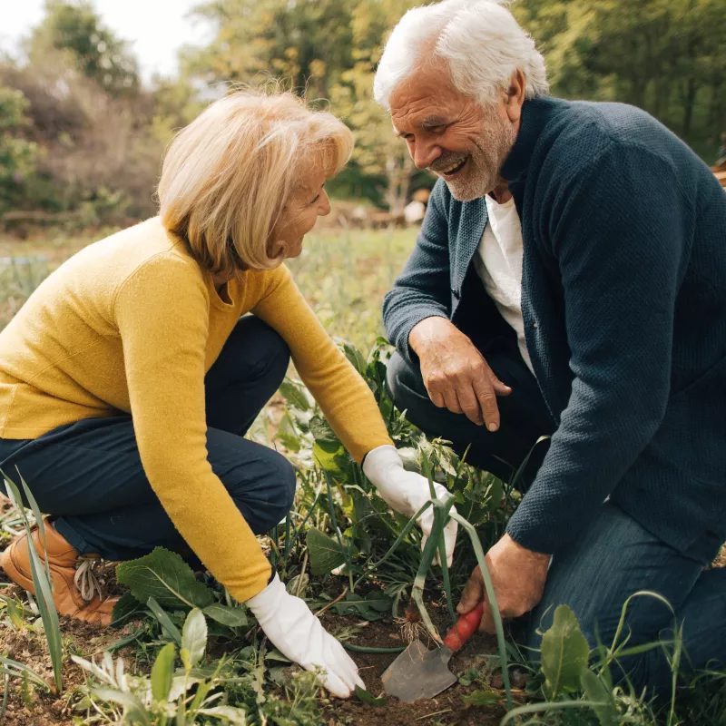 Couple Gardening