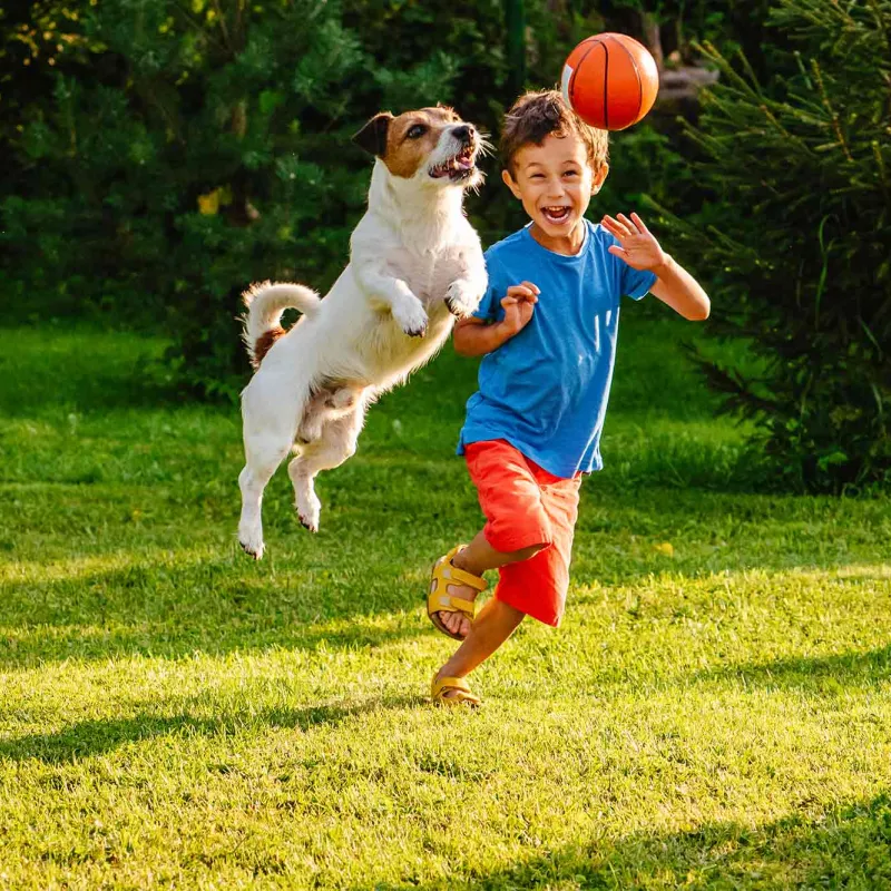 Kid playing with dog outside