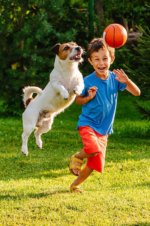 Kid playing with dog outside